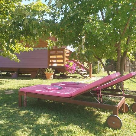 Bed and Breakfast La Diligenza Tagliolo Monferrato Exterior foto
