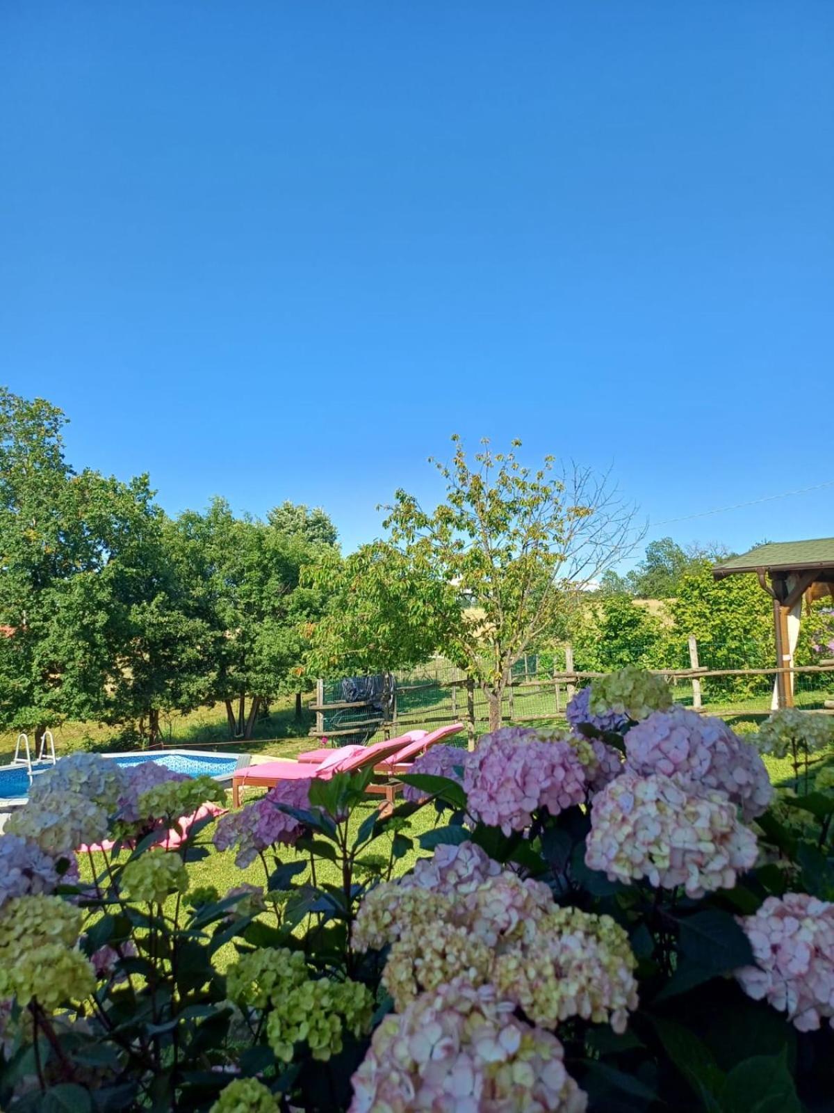 Bed and Breakfast La Diligenza Tagliolo Monferrato Exterior foto
